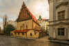 Prague highlights full day walking tour